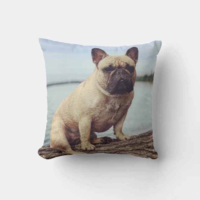 Coussin Un Bulldog français (Recto)