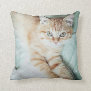 Coussin Un chaton d'or de couleur se couchant