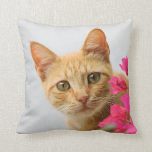 Coussin Un chaton tigré rouge mignon vous observe