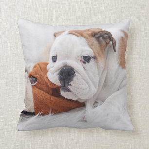 Coussin Un chiot anglais de bouledogue jouant avec un