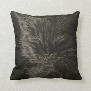 Coussin un conte de deux Kittys
