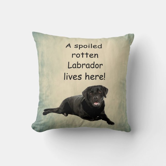 Coussin Un Labrador Tourbé Mal Vit Ici (Recto)