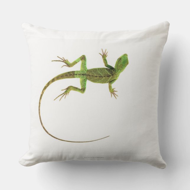Coussin Un lézard sur la terre blanche pure (Recto)