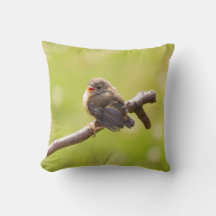 Un oiseau mignon chantant joyeusement en été