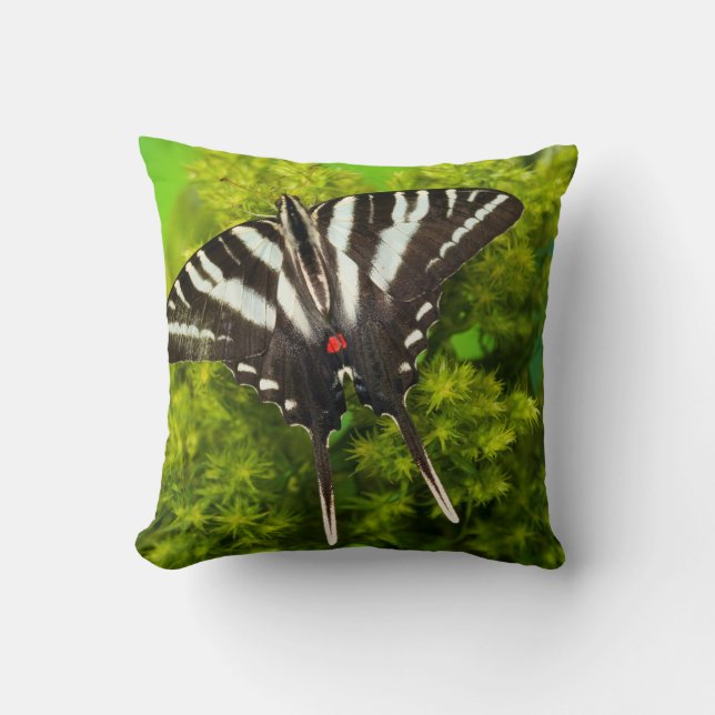 Coussin Un papillon swallowtail nord-américain (Recto)