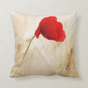Coussin Un seul pavot rouge dans un champ de graminées