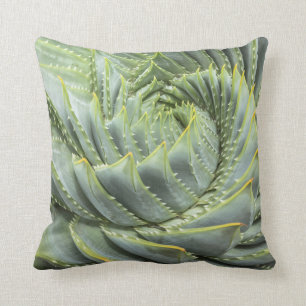 Coussin Un Succulent vert et blanc