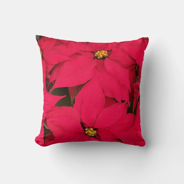 Coussin Un tas de Poinsettias de Noël aux couleurs vives (Recto)