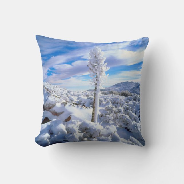 Coussin Un yucca enneigé (Recto)