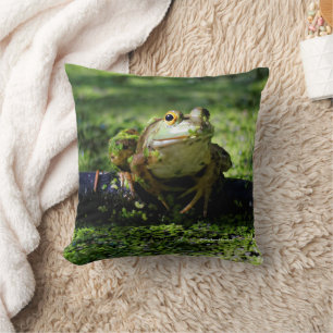 Coussin Une jolie grenouille verte frappe un pot sur le tu