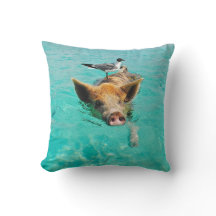 Une mouette et un porc