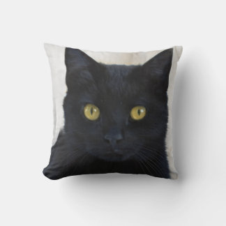 Coussin Une photo de visage de chat noir féroce, amoureux