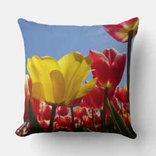 Coussin Une Tulipe Jaune dans le champ des Tulipes Rouges 