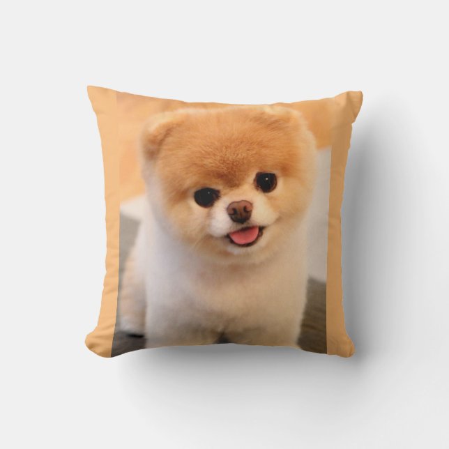 Coussin Unique de Poméranie au charme doux (Recto)