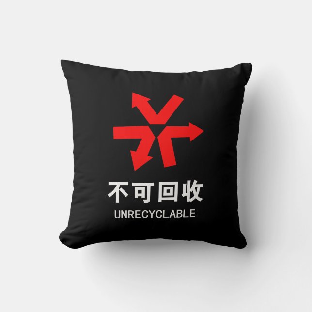 Coussin Unrecyclable ~ Signe chinois Hanzi (Recto)