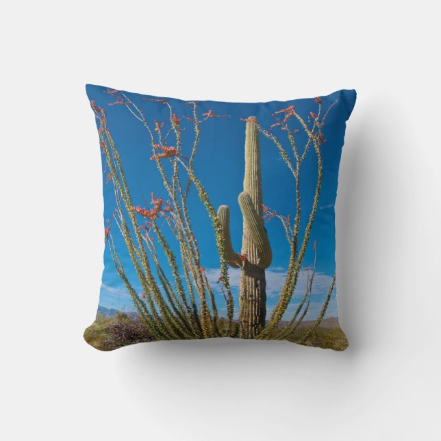 Coussin USA, Arizona. Cactus Dans Le Parc National Du Sagu (Recto)