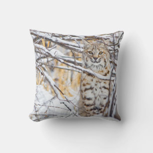 Coussin USA, Wyoming, Bobcat