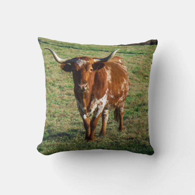 Coussin Vache Brown et blanche à longue (Recto)