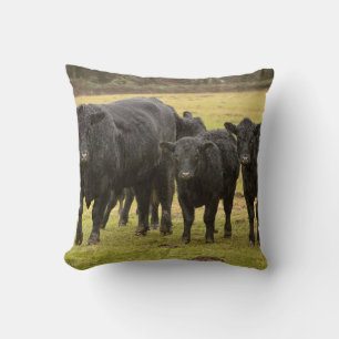 Coussin Vaches sous la pluie