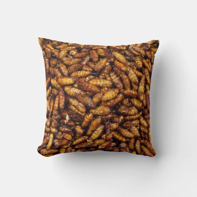 Coussin Vers de soie frits ... Thai Street Food (Recto)