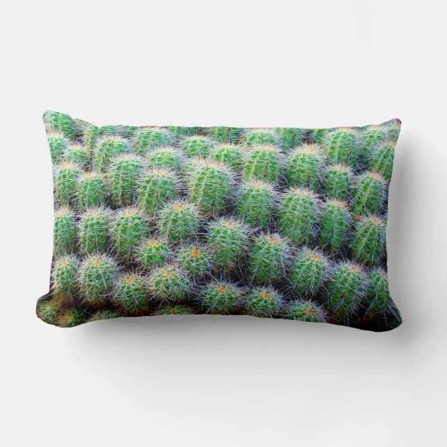 coussin vert cactus baril (Recto)