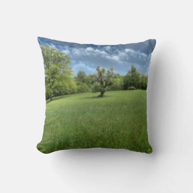 Coussin vert des Appalaches (Recto)