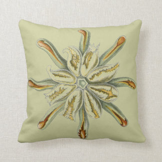 Coussin Vie marine de cru de Haeckel