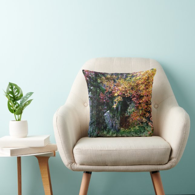 Coussin Vieux chêne...... (Chaise)