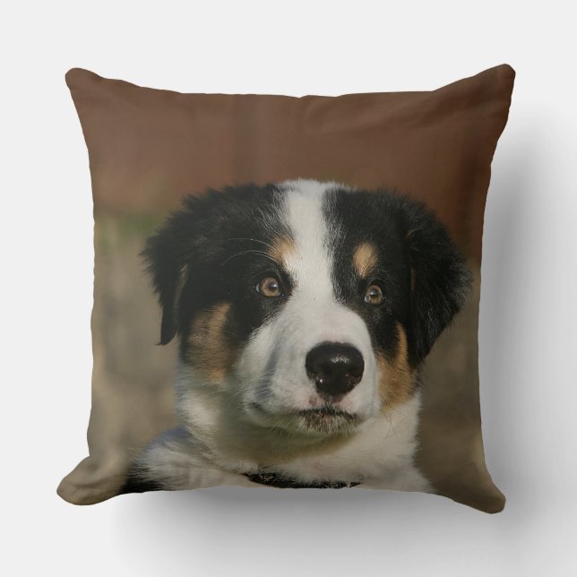 Coussin Vieux Headshot de chiot de border collie de 12 (Recto)