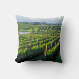 Coussin Vignes en rangées nettes dans le Napa en Californi
