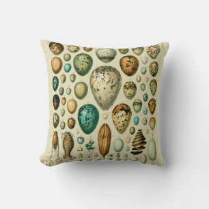 Coussin Vintage Bird Eggs French Fish Egg