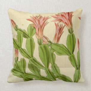 Coussin Vintage Christmas Cactus Jeu d'oreiller