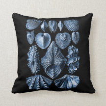 Coussin Vintage de coquillages Haeckel