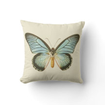 Coussin vintage de papillon d'Aqua