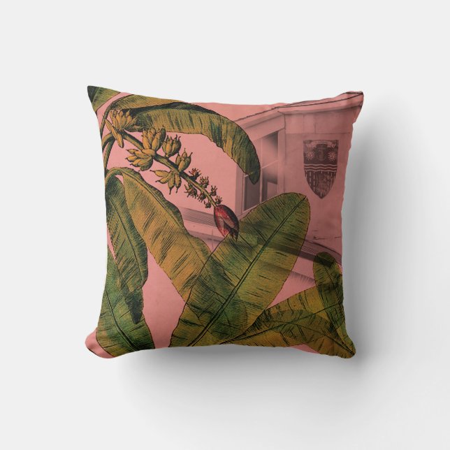 Coussin Vintage Tropical Bahamas Cuisine (Recto)