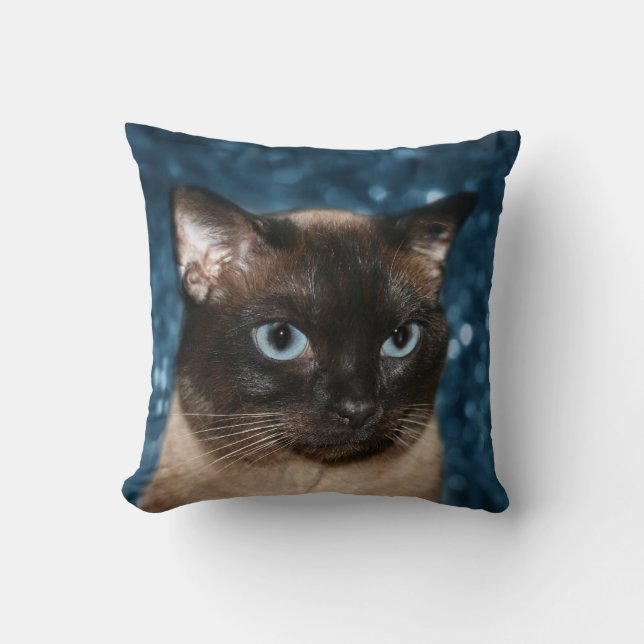 Coussin Visage de chat siamois (Recto)