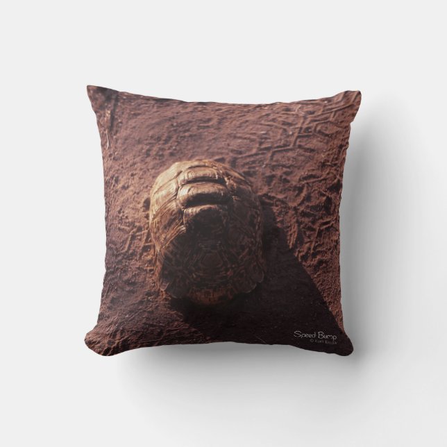 Coussin Vitesse (Recto)