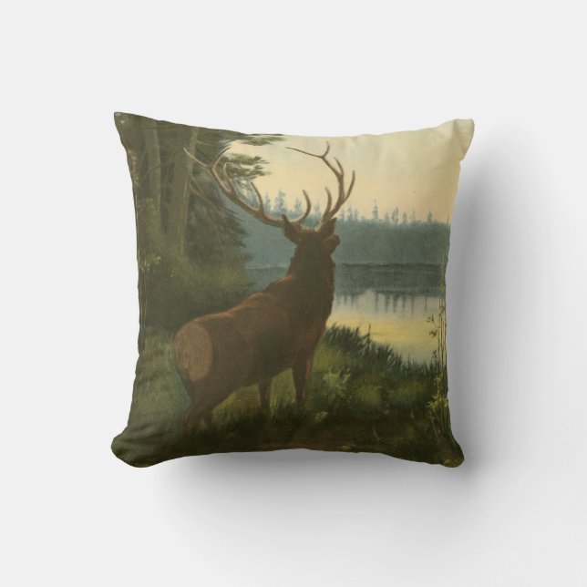 Coussin Vue arrière du lac Elk Vue sur un lac (Recto)