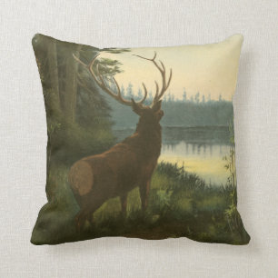 Coussin Vue arrière du lac Elk Vue sur un lac