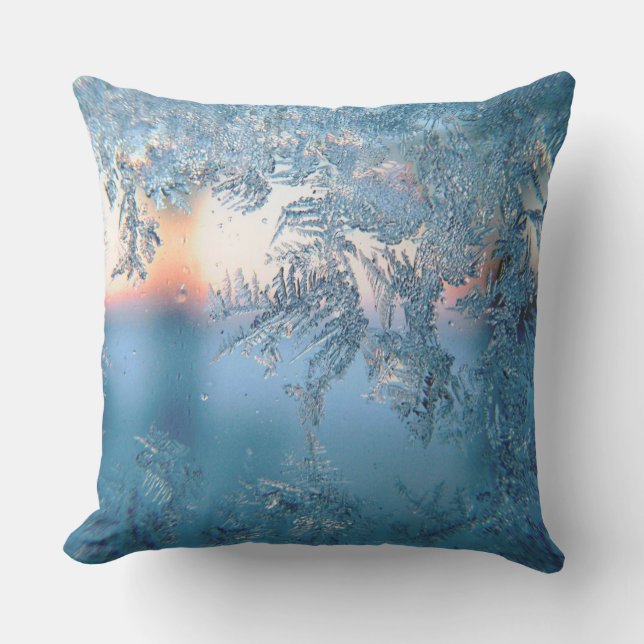 Coussin Vue figée (Recto)