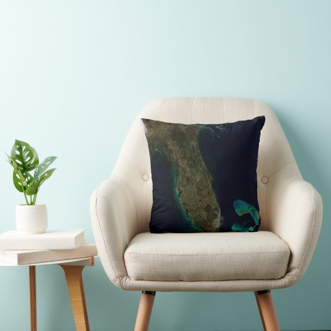 Coussin Vue Satellite Sur La Floride. (Chaise)