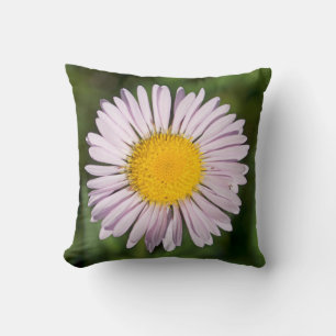 Coussin Washington, chaîne des Cascades, mont Baker
