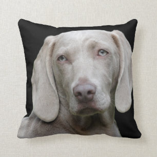 Coussin Weimaraner Silver Grey