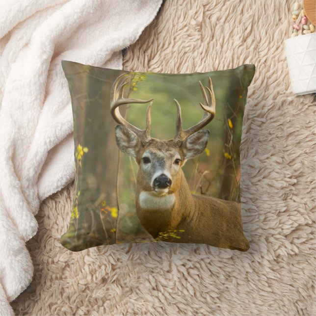 Coussin Whitetail Deer Buck | Corégone, Montana (Couverture)