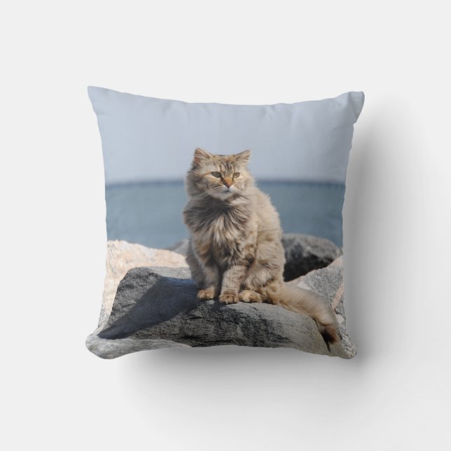 Coussin Windswept Cat by the Sea Cute Photo (Recto)