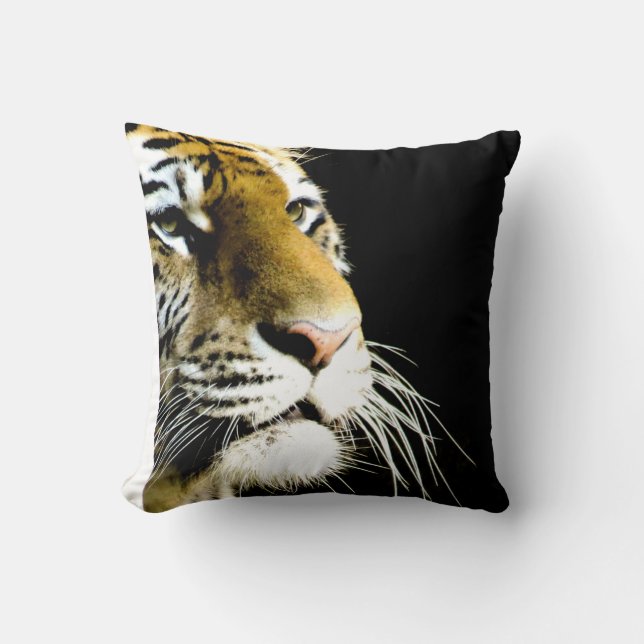 Coussin Yeux de tigre (Recto)