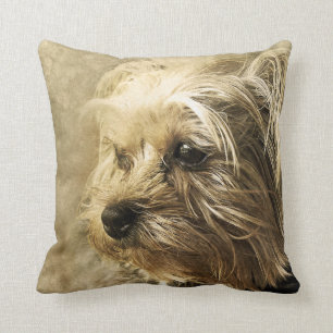 Coussin Yorkshire Terrier