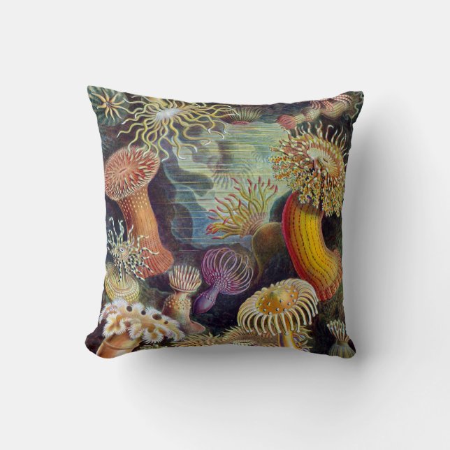 Coussins d'actinies de ~ de Haeckel (Recto)