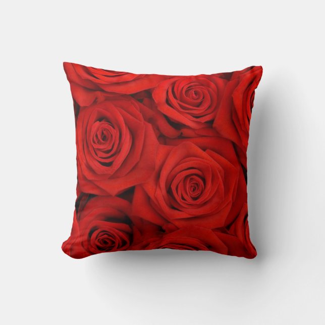 Coussins de jet roses rouges (Recto)