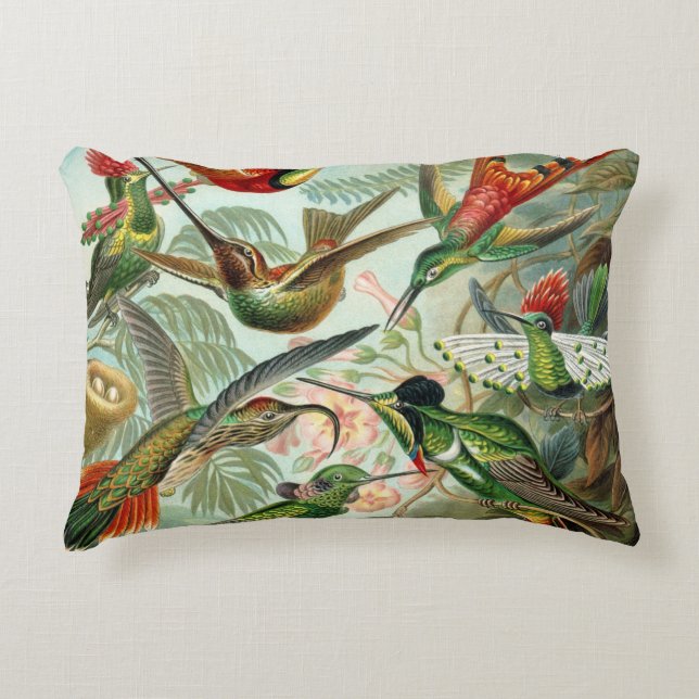 Coussins Décoratifs 12 oiseaux américains de ronflement multiplie (Devant)